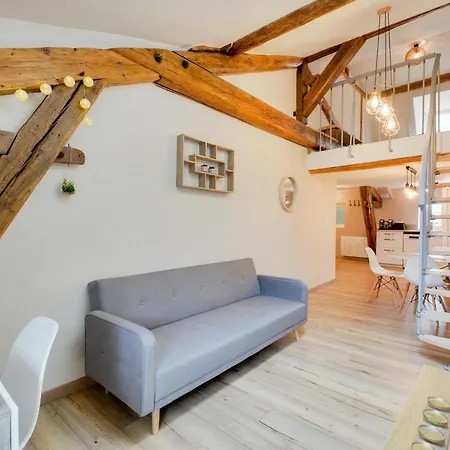 公寓 La Douceur De Stanislas 南锡